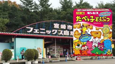 たべっ子どうぶつ【宮崎市フェニックス自然動物園】好評につき第2弾