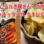 宮崎でうなぎ屋さんが作ったポテトチップスは旨いのか！？