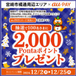 au PAYで宮崎市橘通周辺で100名様に2,000Pontaポイントをプレゼント